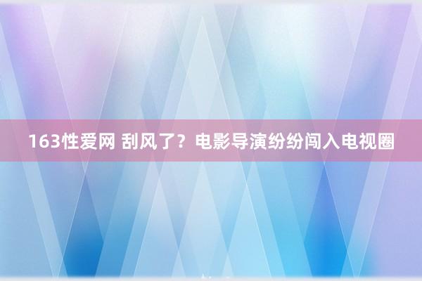 163性爱网 刮风了？电影导演纷纷闯入电视圈