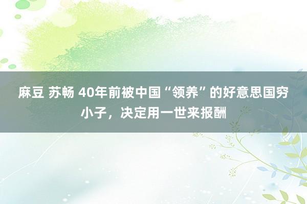 麻豆 苏畅 40年前被中国“领养”的好意思国穷小子，决定用一世来报酬